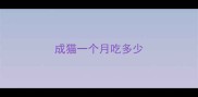 成猫一个月吃多少