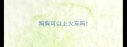 狗狗可以上火车吗