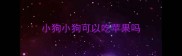 小狗小狗可以吃苹果吗