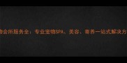 宠物会所服务全专业宠物SPA美容寄养一站式解决方案