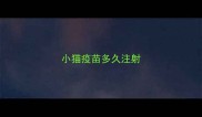 小猫疫苗多久注射