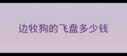 边牧狗的飞盘多少钱