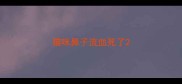 猫咪鼻子流血死了
