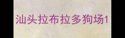 汕头拉布拉多狗场