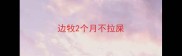 边牧2个月不拉屎