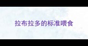 拉布拉多的标准喂食
