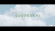 哈士奇的眼睛形状