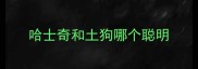 哈士奇和土狗哪个聪明