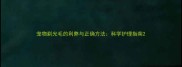 宠物剃光毛的利弊与正确方法科学护理指南