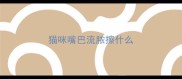 猫咪嘴巴流脓擦什么