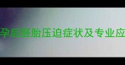 猫咪怀孕后胚胎压迫症状及专业应对指南