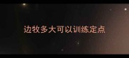 边牧多大可以训练定点