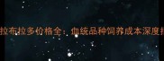 武汉拉布拉多价格全血统品种饲养成本深度指南