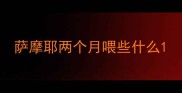 萨摩耶两个月喂些什么