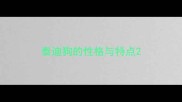 泰迪狗的性格与特点