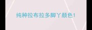 纯种拉布拉多脚丫颜色
