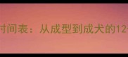 萨摩耶幼犬发育时间表从成型到成犬的12个月养护全攻略