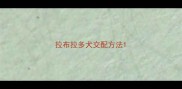 拉布拉多犬交配方法