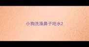 小狗洗澡鼻子呛水