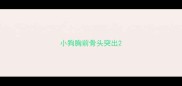 小狗胸前骨头突出