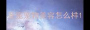 圣宠宠物美容怎么样