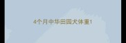 4个月中华田园犬体重