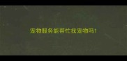 宠物服务能帮忙找宠物吗