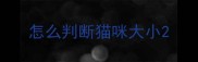 怎么判断猫咪大小