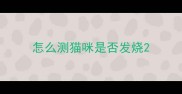 怎么测猫咪是否发烧