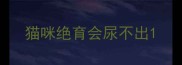 猫咪绝育会尿不出
