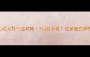 金毛幼犬打针全攻略3月龄必看疫苗驱虫体检全