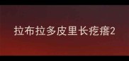 拉布拉多皮里长疙瘩
