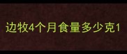 边牧4个月食量多少克