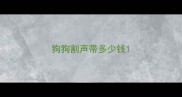 狗狗割声带多少钱