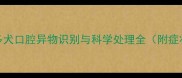 拉布拉多犬口腔异物识别与科学处理全附症状图解