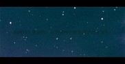狗粮VS人类食物科学狗狗主食选择的黄金法则