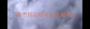 两个月边牧可以吃梨吗