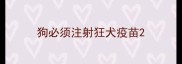 狗必须注射狂犬疫苗