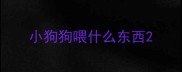 小狗狗喂什么东西