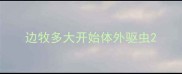 边牧多大开始体外驱虫