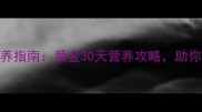 金毛幼犬科学喂养指南黄金30天营养攻略助你养出健康大狗