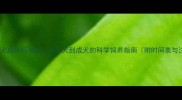 拉布拉多猎犬成年标准全从幼犬到成犬的科学饲养指南附时间表与注意事项