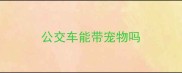 公交车能带宠物吗