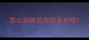 怎么训练拉布拉多扑咬