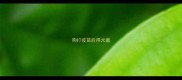 狗打疫苗后得犬瘟