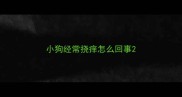 小狗经常挠痒怎么回事
