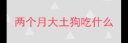 两个月大土狗吃什么