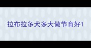 拉布拉多犬多大做节育好