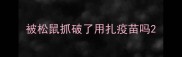 被松鼠抓破了用扎疫苗吗