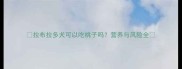 拉布拉多犬可以吃桃子吗营养与风险全